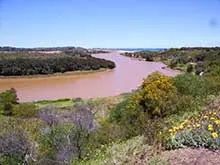 Shire of Irwin - Dongara - archival photograph