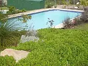 Sapphire Pools - archival photograph