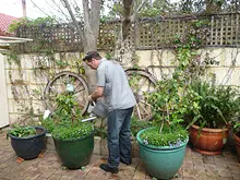 Seasol Super Soil Wetter and Conditioner - archival photograph