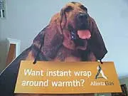 Alinta Networks - Scott Park Homes - archival photograph