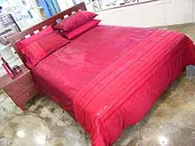 Holy Sheet! - archival photograph