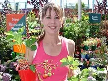 Bunnings - archival photograph