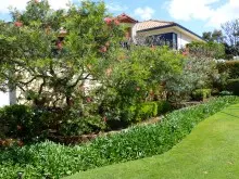 Seasol For Lush Green Lawns - archival photograph