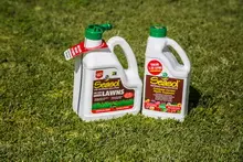 SEASOL 'For lush green lawns' - archival photograph