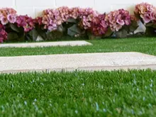 Green Planet Grass - archival photograph