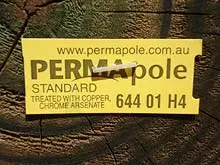 PERMApole - archival photograph