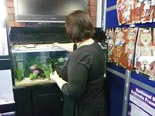 Atlantis Industries 'Aquariums rental and maintenance' - archival photograph