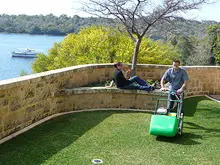 Seasol 'For Lush Green Lawns' - archival photograph