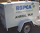 AlintaGas / RSPCA - archival photograph