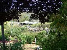 Melville Festival of Roses 'Melville Nursery November 14th & 15th' - archival photograph