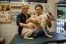 Hanly Veterinary Clinic & Hospital - archival photograph