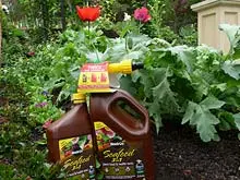Scotts 'Seafeed 3 in 1' - archival photograph
