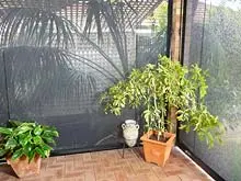 Aussie Outdoor Alfresco Cafe Blinds - archival photograph