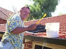 Hedgehog Gutter Protection System - archival photograph