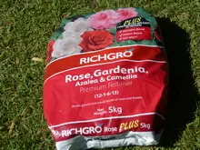 RICHGROW - archival photograph