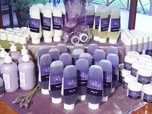 Cape Lavender - archival photograph