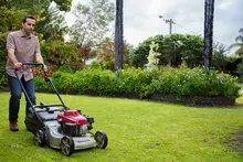 SEASOL 'For lush green lawns' - archival photograph