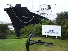 Albany's Whale World - archival photograph