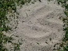 BENTONITE CLAY - archival photograph