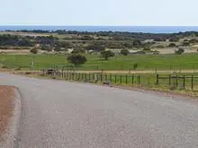 Park Falls Country Estate by the Sea - archival photograph