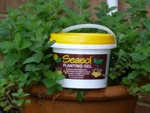 SEASOL - archival photograph