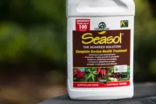 SEASOL 'PowerFeed for Vegies' - archival photograph