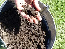 Soil Solver - archival photograph