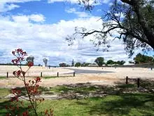 Peet Limited 'Quattro Estate' - archival photograph
