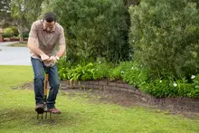 SEASOL 'For lush green lawns' - archival photograph