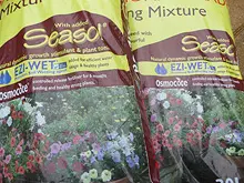 Seasol 'Re-potting tips with Seasol and Powerfeed' - archival photograph
