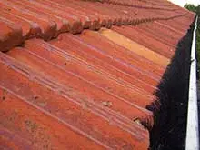 Hedgehog Gutter Protection System - archival photograph