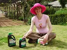 Millennium Grow - archival photograph