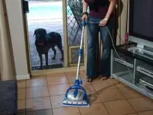 Euroflex - Monster Floor Steam Mop - archival photograph