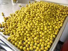 Eagle Vale Olives - archival photograph
