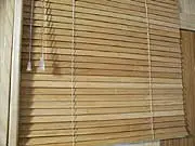 Bamboo Style - archival photograph