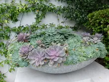 Tim Davies Landscaping Part 1 - archival photograph