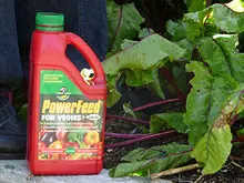 Seasol 'Powerfeed for Vegies' - archival photograph