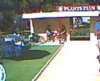 Plants Plus