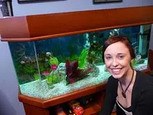 Atlantis Industries 'Aquariums rental and maintenance' - archival photograph