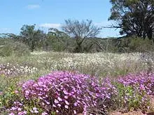Riverside Sanctuary - archival photograph