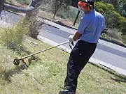 STIHL Specialist Dealers - archival photograph
