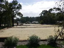 HILLTOP GROVE ESTATE - archival photograph