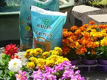 Baileys Fertiliser - archival photograph
