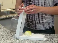 Kitchen Witch 'Alligator Onion Cutter' - archival photograph