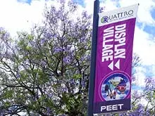 Peet Limited 'Quattro Estate' - archival photograph
