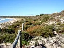 Shire of Busselton Bunker Bay - archival photograph