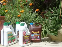 Seasol Super Soil Wetter and Conditioner - archival photograph