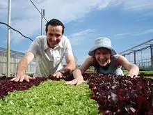 Millennium Grow - archival photograph