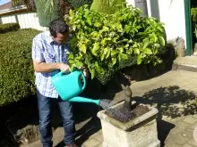 SEASOL SUPER SOIL WETTER - archival photograph