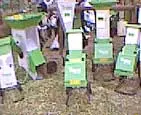 Stihl Pty Ltd - archival photograph